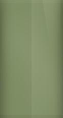 Mercedes-Benz Moss Green DB-803 Touch Up Paint swatch