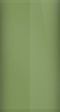 Dodge Medium Green  Irid T (1968) Touch Up Paint swatch