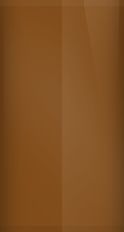 Nissan Dark Brown Metallic 72 Touch Up Paint swatch