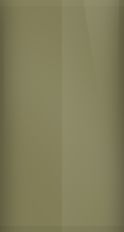 Buick Olive Beige WA3957/82 Touch Up Paint swatch