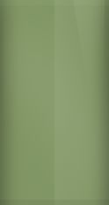 Volkswagen Birch Green L511 Touch Up Paint swatch