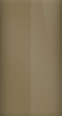 Volkswagen Oregon Beige L81D Touch Up Paint swatch