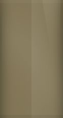 BMW Mojave Metallic A17 Touch Up Paint swatch