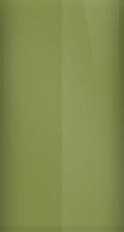 Jeep Jungle Green PGU Touch Up Paint swatch