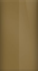 BMW Mojave Brown Metallic BMW098 Touch Up Paint swatch