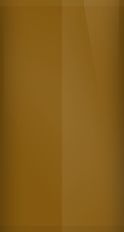 Kia Saddle Brown Pearl DT9 Touch Up Paint swatch