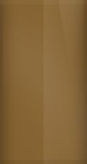 Ford Umber  AJ4 Touch Up Paint swatch