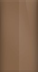 Ford Dark Fawn Metallic 82 (1982) Touch Up Paint swatch