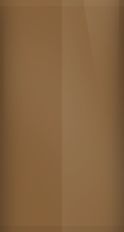 Chrysler Dark Chestnut Poly T-9 (1975) Touch Up Paint swatch