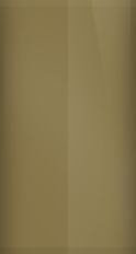 Chevrolet Dark Beige Metallic WA674F/50U Touch Up Paint swatch