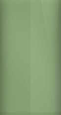 BMW Tasman Green Metallic A81 Touch Up Paint swatch