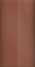 Ford Cinnamon Metallic HT Touch Up Paint swatch