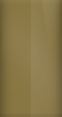 Nissan Woodland Brown Metallic C21 Touch Up Paint swatch