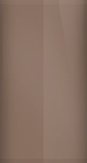 Toyota Light Brown Metallic 4S5 Touch Up Paint swatch