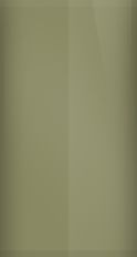 Subaru Sahara Beige Metallic 69 Touch Up Paint swatch