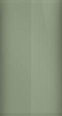 Nissan Silver Moss Metallic KR5 Touch Up Paint swatch