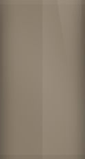 Audi Tundra Brown Metallic LW8Z/S3 Touch Up Paint swatch