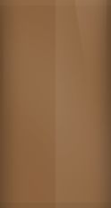 BMW Sable Brown Metallic 196 Touch Up Paint swatch