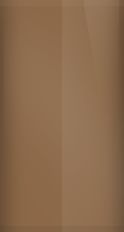 Oldsmobile Clove Brown Poly 69 (1974) Touch Up Paint swatch