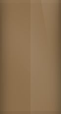 Dodge Captino Brown Metallic C14/PT3 Touch Up Paint swatch