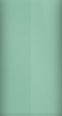 Nissan Lime/Silver Green Pearl FG0 Touch Up Paint swatch