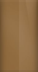 Buick Dark Beechwood Metallic WA9279/59 Touch Up Paint swatch