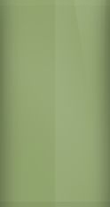 Land Rover Kent Green Pearl 647/HEX Touch Up Paint swatch