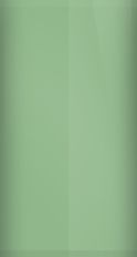 Mercury Pastel Pine Metallic 4E (1981) Touch Up Paint swatch