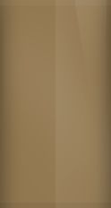 Nissan Medium Brown Metallic 209 Touch Up Paint swatch
