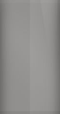 Lamborghini Grigio Artis Matte Touch Up Paint swatch
