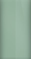 Mercury Spruce Green Metallic XT1/M6860 Touch Up Paint swatch