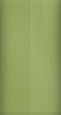 Buick Green-Gold Poly WA4324/46 Touch Up Paint swatch