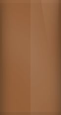 Toyota Brown Metallic 4B4 Touch Up Paint swatch