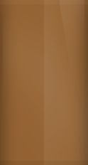 Buick Nutmeg Poly WA4261/69 Touch Up Paint swatch