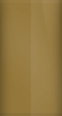 Volkswagen Harvest Gold Metallic L98C Touch Up Paint swatch