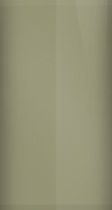 BMW Reseda Green Metallic 75 Touch Up Paint swatch