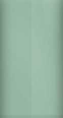 Ford Medium Spruce Metallic 4N (1981) Touch Up Paint swatch