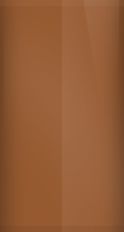 Buick Medium Beechwood Metallic WA9091/69 Touch Up Paint swatch