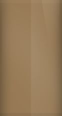 Ford Medium Ginger Glow Metallic 4_ (1976) Touch Up Paint swatch