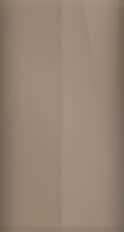 BMW Champagne Quartz II Metallic C48 Touch Up Paint swatch