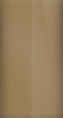 Chevrolet Dark Bronze Metallic WA7723/66 Touch Up Paint swatch