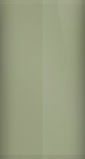 Nissan Canteen Green Metallic D13 Touch Up Paint swatch