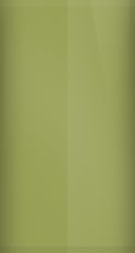 Saab Pepper Green Metallic 307 Touch Up Paint swatch