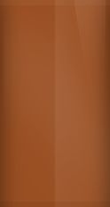 Buick Cinnamon Poly WA4501/66 Touch Up Paint swatch