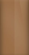 Toyota Dark Brown Metallic 4L1 Touch Up Paint swatch