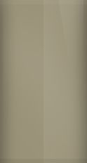 BMW Savannah Beige Metallic 282 Touch Up Paint swatch