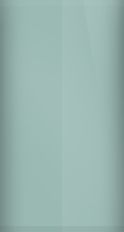 Ford Bohai Bay Mint D2 Touch Up Paint swatch