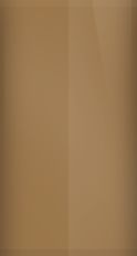 Mercury Medium Fawn Metallic 55 (1981) Touch Up Paint swatch