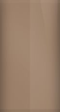 Ford Sandalwood Metallic AR/M6114 Touch Up Paint swatch