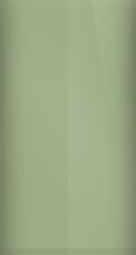 Cadillac Palmetto Green Metallic WA3863/30 Touch Up Paint swatch